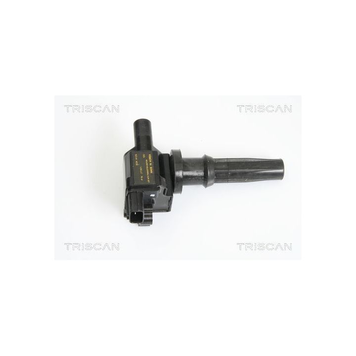 Ritė, uždegimas TRISCAN 8860 43007