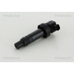 Ritė, uždegimas TRISCAN 8860 43008
