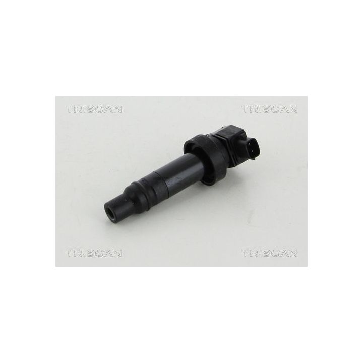 Ritė, uždegimas TRISCAN 8860 43008
