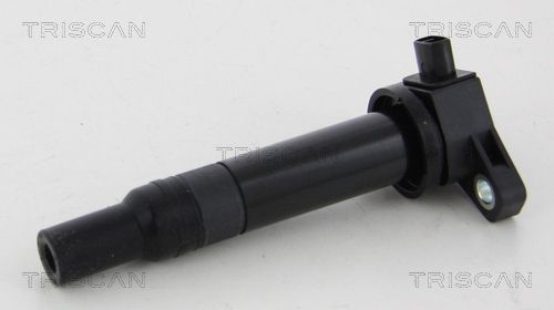 Ritė, uždegimas TRISCAN 8860 43010