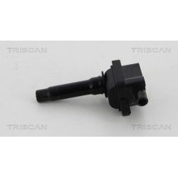 Ritė, uždegimas TRISCAN 8860 43014