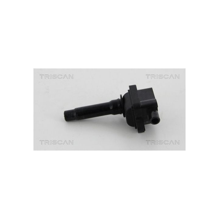 Ritė, uždegimas TRISCAN 8860 43014