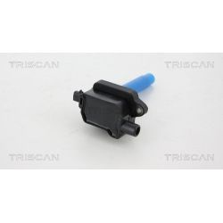 Ritė, uždegimas TRISCAN 8860 43016