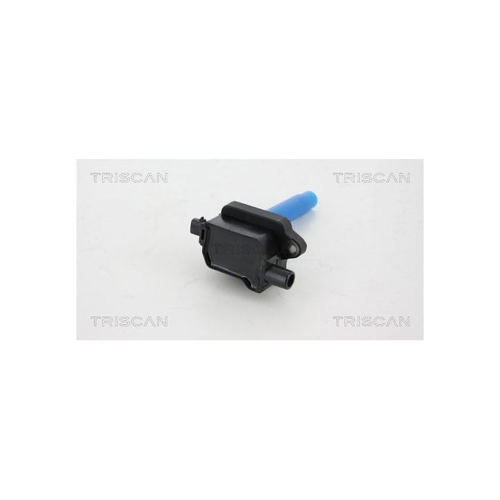 Ritė, uždegimas TRISCAN 8860 43016