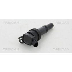 Ritė, uždegimas TRISCAN 8860 43017