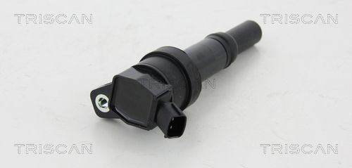 Ritė, uždegimas TRISCAN 8860 43017