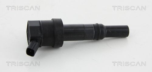 Ritė, uždegimas TRISCAN 8860 43017