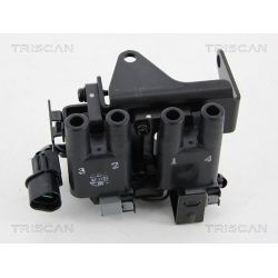 Ritė, uždegimas TRISCAN 8860 43018