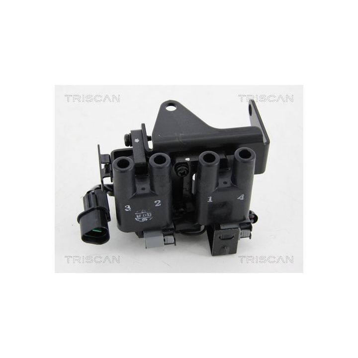 Ritė, uždegimas TRISCAN 8860 43018