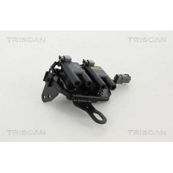 Ritė, uždegimas TRISCAN 8860 43021