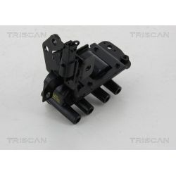 Ritė, uždegimas TRISCAN 8860 43022