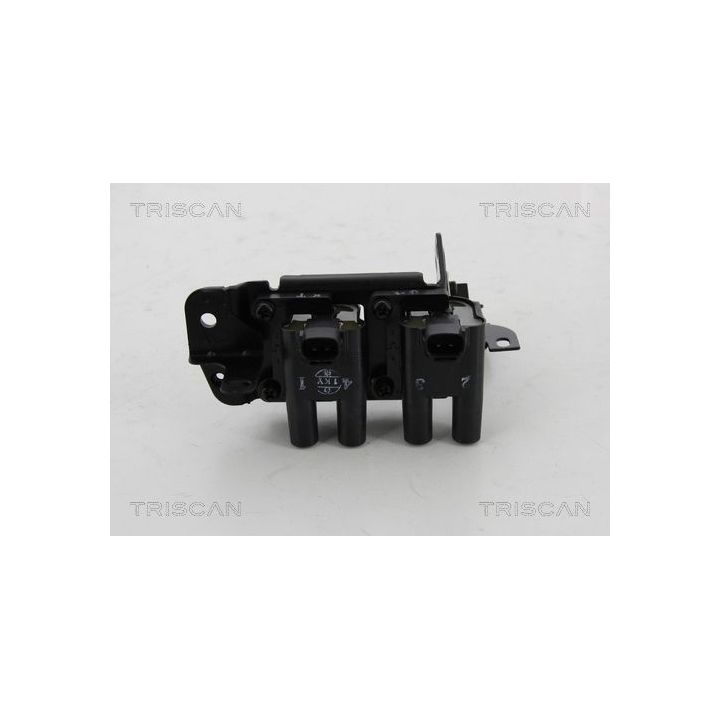 Ritė, uždegimas TRISCAN 8860 43022