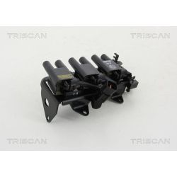 Ritė, uždegimas TRISCAN 8860 43023