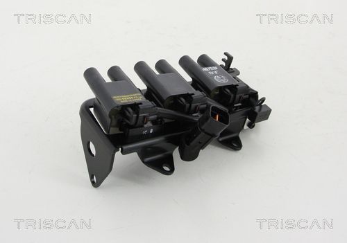 Ritė, uždegimas TRISCAN 8860 43023