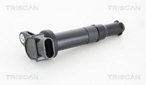 Ritė, uždegimas TRISCAN 8860 43025