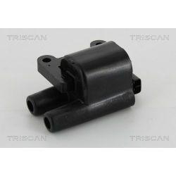 Ritė, uždegimas TRISCAN 8860 43026