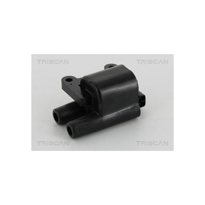 Ritė, uždegimas TRISCAN 8860 43026
