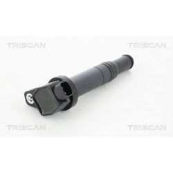 Ritė, uždegimas TRISCAN 8860 43027