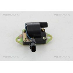 Ritė, uždegimas TRISCAN 8860 43028