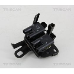 Ritė, uždegimas TRISCAN 8860 43029