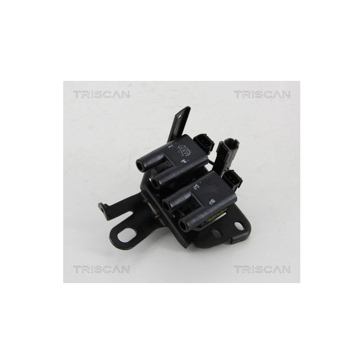 Ritė, uždegimas TRISCAN 8860 43029