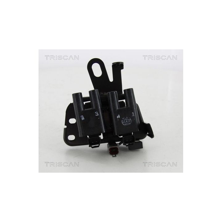 Ritė, uždegimas TRISCAN 8860 43029