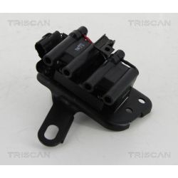 Ritė, uždegimas TRISCAN 8860 43030