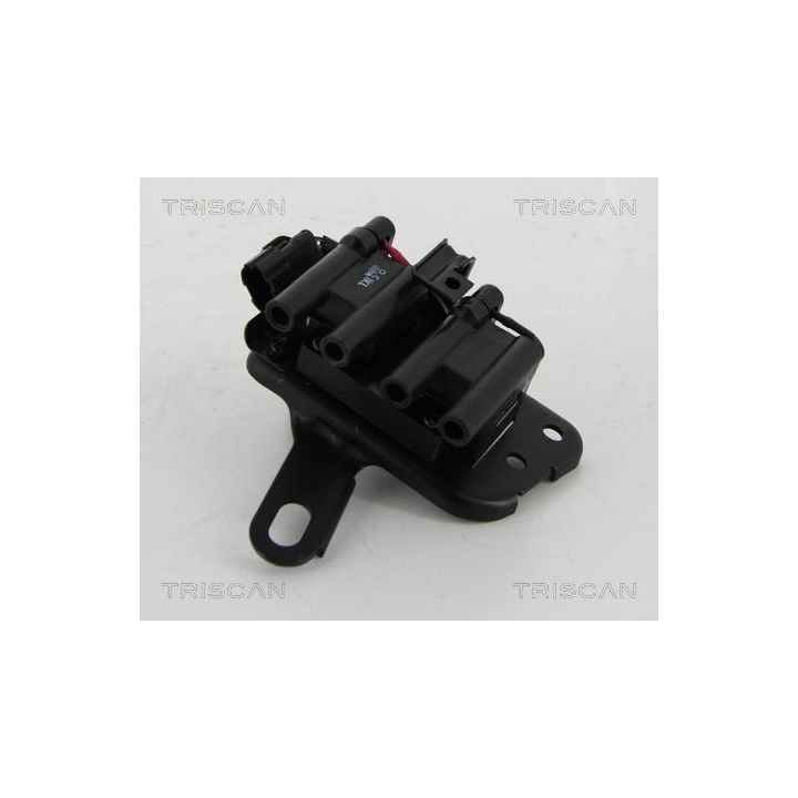 Ritė, uždegimas TRISCAN 8860 43030