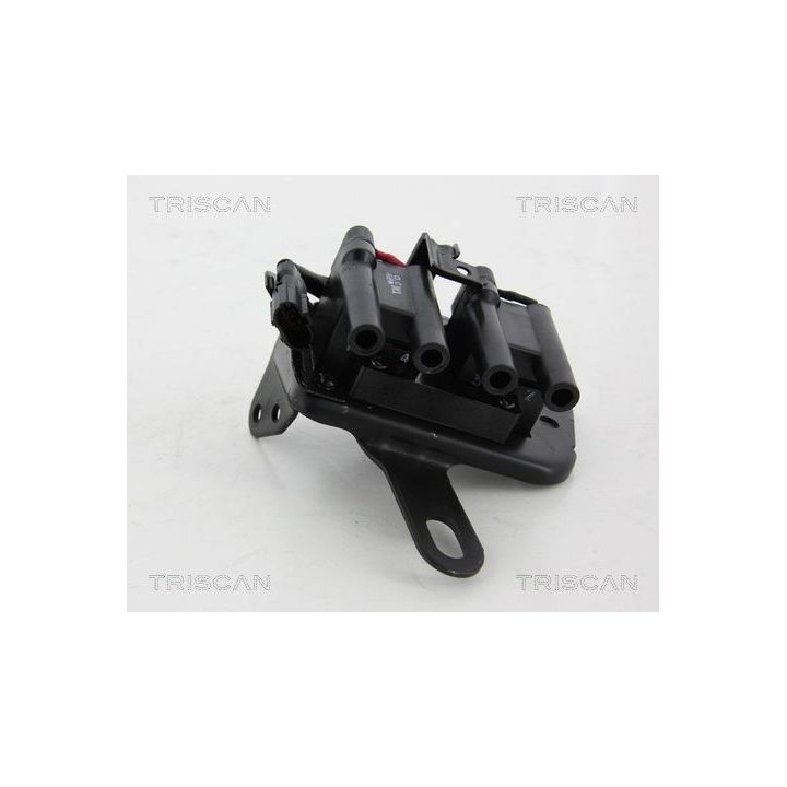 Ritė, uždegimas TRISCAN 8860 43030