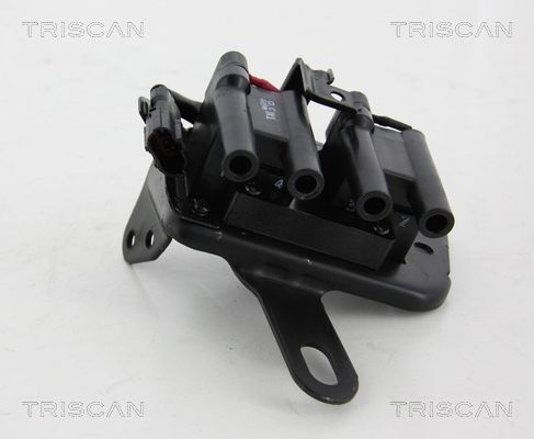 Ritė, uždegimas TRISCAN 8860 43030