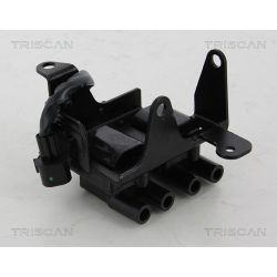 Ritė, uždegimas TRISCAN 8860 43031