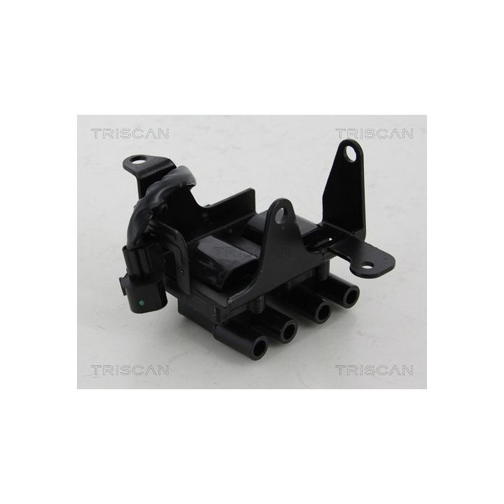 Ritė, uždegimas TRISCAN 8860 43031