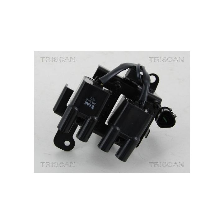 Ritė, uždegimas TRISCAN 8860 43031