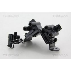 Ritė, uždegimas TRISCAN 8860 43032