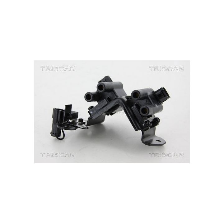 Ritė, uždegimas TRISCAN 8860 43032