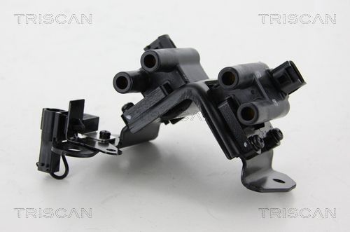 Ritė, uždegimas TRISCAN 8860 43032
