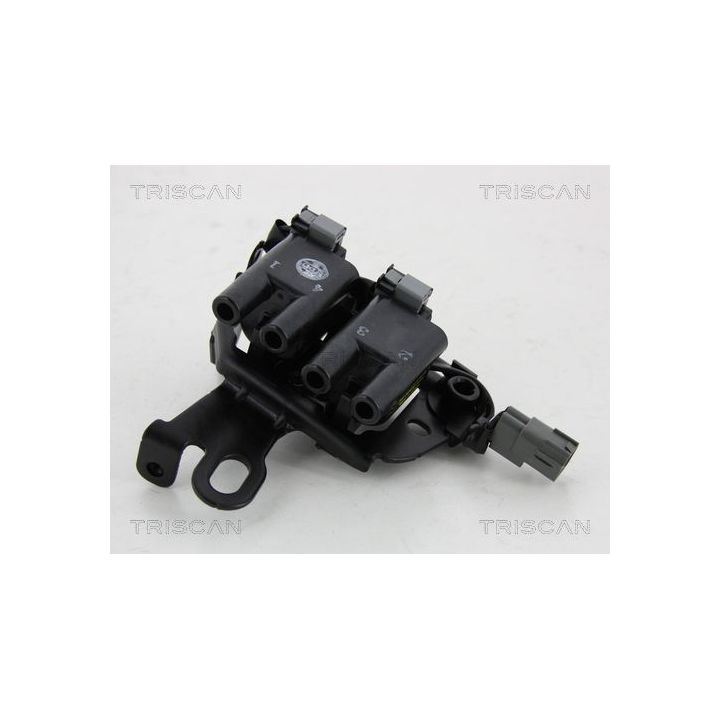 Ritė, uždegimas TRISCAN 8860 43033