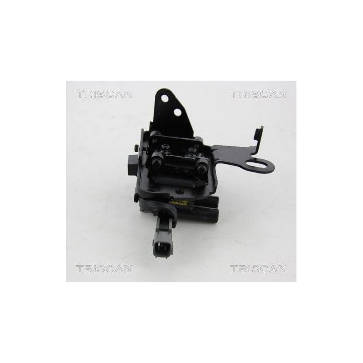 Ritė, uždegimas TRISCAN 8860 43033