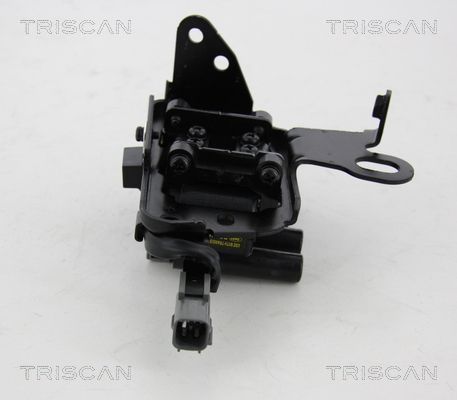 Ritė, uždegimas TRISCAN 8860 43033