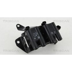 Ritė, uždegimas TRISCAN 8860 43036