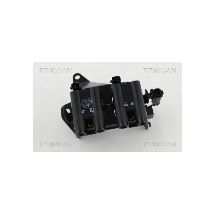 Ritė, uždegimas TRISCAN 8860 43036