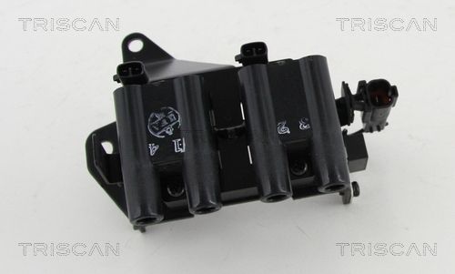 Ritė, uždegimas TRISCAN 8860 43036