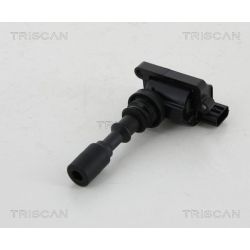 Ritė, uždegimas TRISCAN 8860 43037