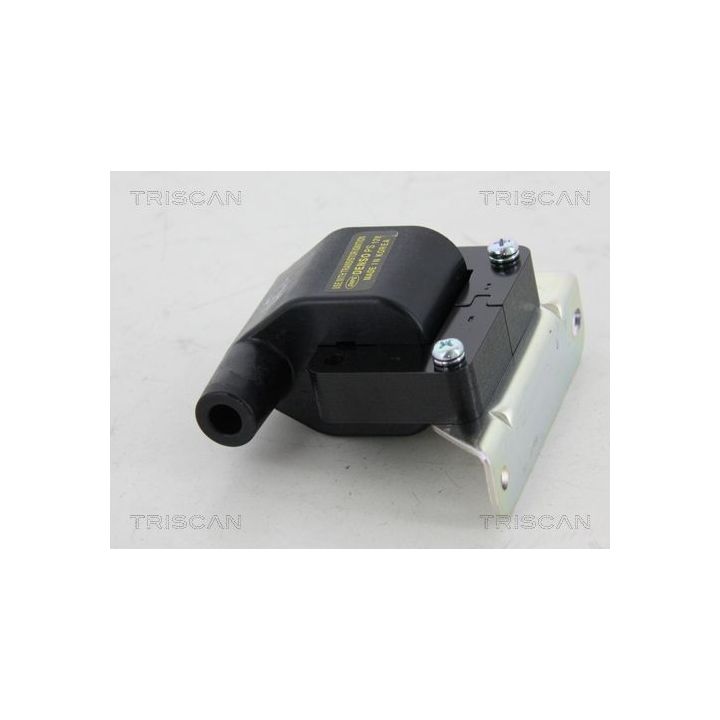 Ritė, uždegimas TRISCAN 8860 43038