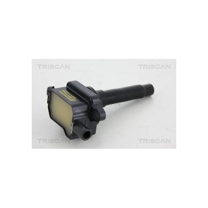 Ritė, uždegimas TRISCAN 8860 43040
