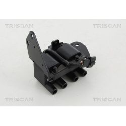 Ritė, uždegimas TRISCAN 8860 43041
