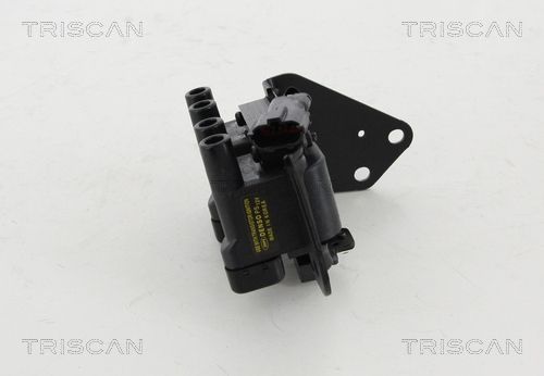 Ritė, uždegimas TRISCAN 8860 43041