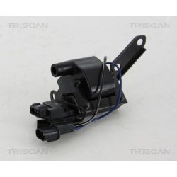 Ritė, uždegimas TRISCAN 8860 43042