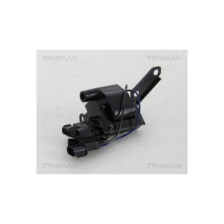 Ritė, uždegimas TRISCAN 8860 43042