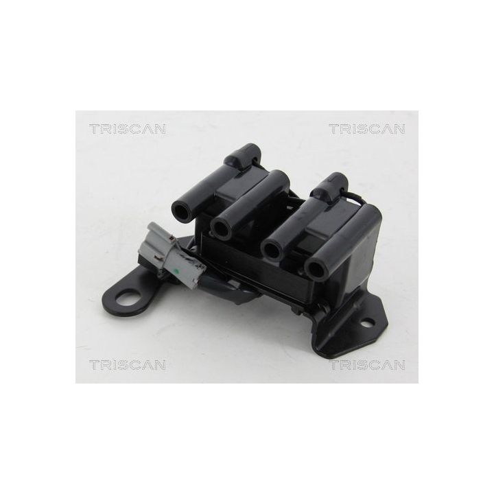 Ritė, uždegimas TRISCAN 8860 43043